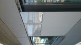 picture_1559.jpg
