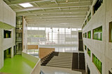 picture_398.jpg