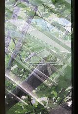 picture_492.jpg