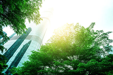 novacel_csr_004.jpg